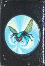 Tick